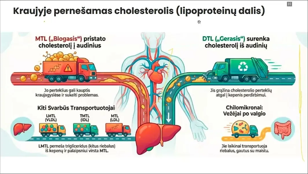 Seminaro skaidrė apie kraujyje pernešamą cholesterolį